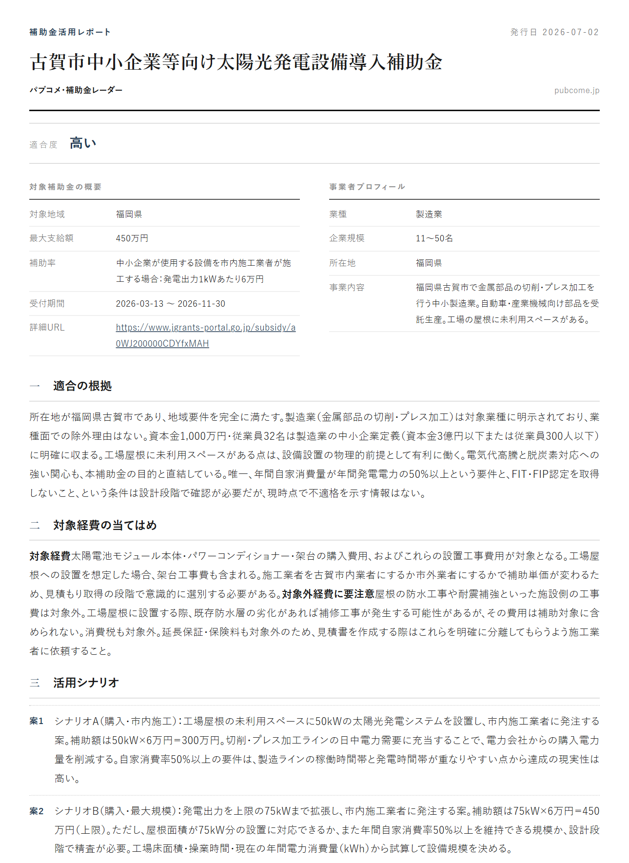 補助金活用レポートのサンプル